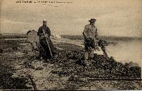 loctudy - bruleurs de goemon a langoz