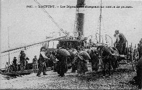 loctudy - chargement patates